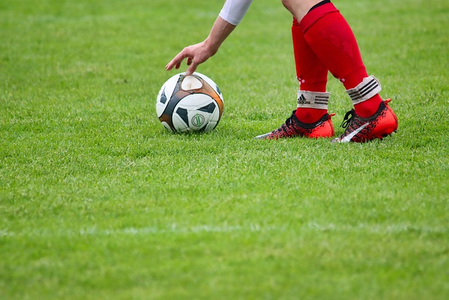 各代表团的